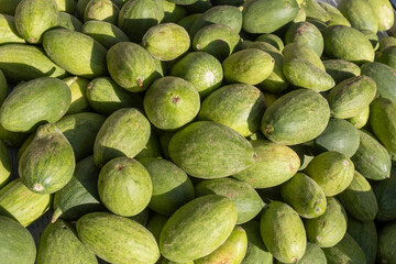 Pile of fresh green snake melons (fakus) harvested and ready for sale at a local market in Nazareth.