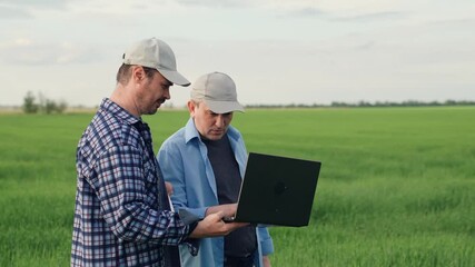 teamwork, farm work field, digital laptop keyboard hand, group people partners, business direction agriculture, wheat season, grow wheat field, agronomists talking wheat plantation summer,