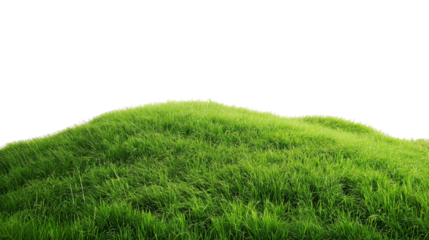 Grass hill grassland isolated on white or transparent PNG background. Perfect for nature, outdoor, and landscape designs. Premium green meadow graphic for creative digital and print projects.