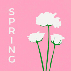 Minimalist Spring Flowers on Pink Background