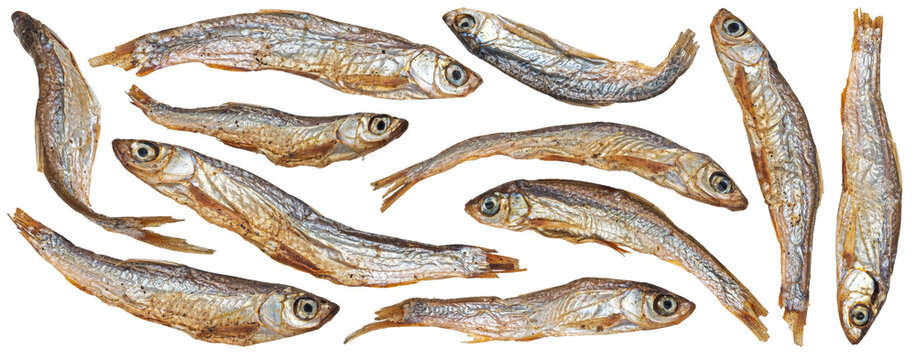 Small dried fish isolated on white background, salty anchovy, full depth of field