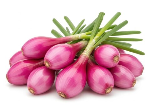 Freshly harvested pink shallots on a clean white background 
