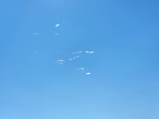 Spring sky. The background is a bright blue sky with small clusters of white cirrus clouds