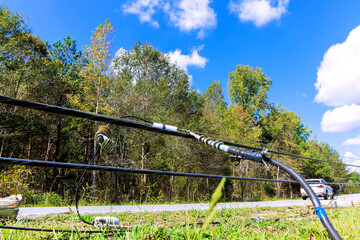 Power lines lie on grass beside road, surrounded by trees under recent hurricane storm
