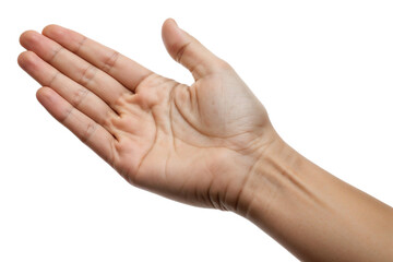 Open Human Hand Gesture Isolated on White Background Transparent PNG