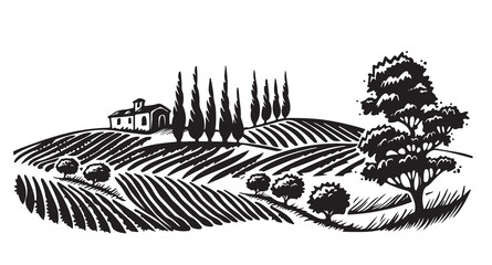 Vineyard Landscape. Vintage wine Label Background. Hand drawn illustration.
