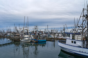 Fototapeta premium Commercial fishing vessels docked at the busy marina on the Pacific coast at Westport, Washington, USA