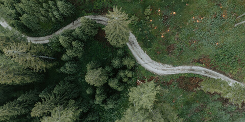 Vue de dessus d'une for&ecirc;t dense en &eacute;t&eacute; avec une route foresti&egrave;re, perspective z&eacute;nithale