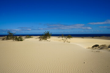 Captivating photo from Fuertaventura's sand dunes under a blue sky
