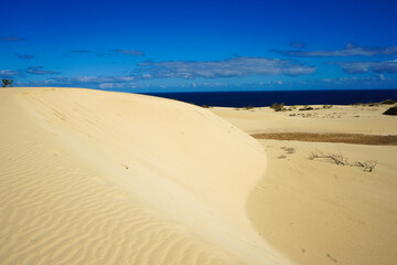 Captivating photo from Fuertaventura's sand dunes under a blue sky