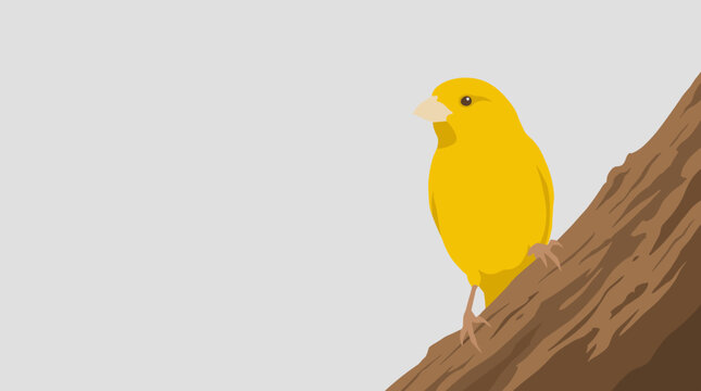 Small yellow canary bird illustration perched on a brown tree branch in a minimalist flat design style on a light grey background with copy space for text