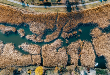 Top-down drone view of reeds and water channels creating abstract landscape patterns. Natural geometry, wetland textures and orthographic aerial perspective.