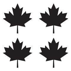 Maple Leaf Vector Illustration Isolated on White Background