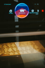 modern kitchen interior