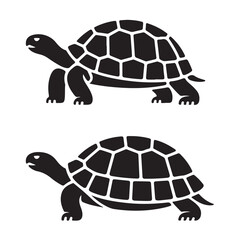 turtle black vector 