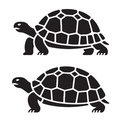 turtle vector illustration