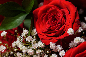 Red Rose Bouquet With White Baby's Breath — Romantic Floral Display For Valentines And Special Moments