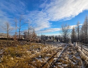 winter mountain landscape with fence