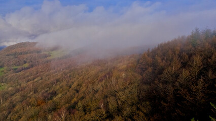Aerial view of forested hillside with mist drifting through autumn trees. © PJSCreativeWorks