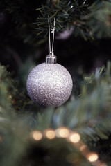 Silver Glitter Christmas Bauble Hanging on Pine Tree Branch