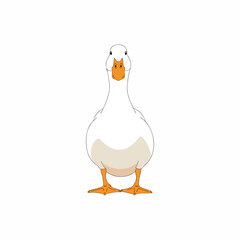White domestic duck vector illustration front view isolated on white