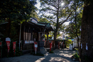鎌倉251229　八雲神社9　正月飾り