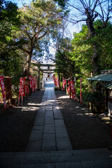 鎌倉251229　八雲神社10　正月飾り