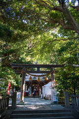 鎌倉251229　八雲神社6　正月飾り