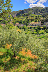 Opp&egrave;de-le-Vieux, Vaucluse, Provence-Alpes-C&ocirc;te d'Azur