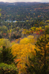 Obraz premium autumn in the mountains