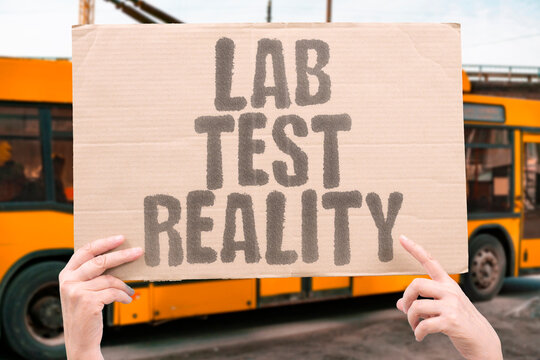 "Lab Test Reality" Which blood markers people monitor and why. LABS. BIOMARKERS. MONITORING. BASELINE. SAFETY.