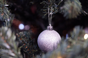 Silver Glitter Christmas Bauble Hanging on Pine Tree Branch