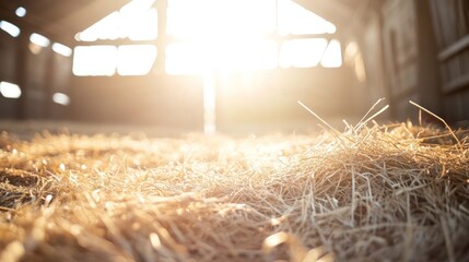 Sunlit interior of a barn with hay on the floor and bright light