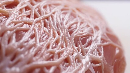 Closeup macro shot of raw fresh meat possibly pork or beef meticulously prepared and trussed with a white elastic netting showcasing the intricate texture and readiness for culinary preparation empha.