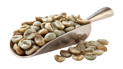 Scoop of green coffee beans on a white isolate background.