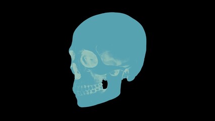 Blue x-ray style human skull isolated on black background, high resolution medical hologram or ice skeleton 3D illustration.