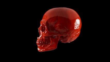 Glossy red human skull isolated on black background, high resolution bloody or plastic art skeleton 3D illustration.