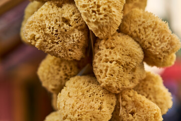 Natural sea bath sponges hanging together, emphasizing their rou
