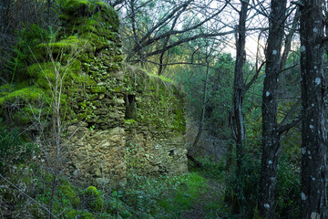 Abandoned ruin stone house in the middle of the forest in the trail path of the village of Olalhas - Tomar - central Portugal