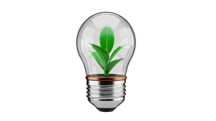 Lightbulb with plant inside representing eco-friendly energy and innovation