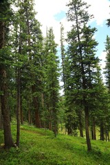 Scenic mountain landscape