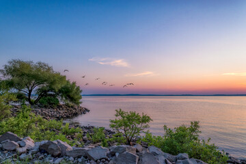 Panoramic Coastal Sunset with Birds Migrating Over a Peaceful Shoreline
