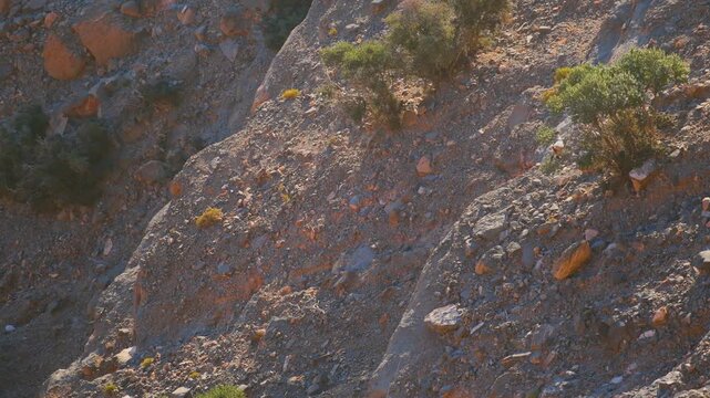 View of the arid, rocky terrain and sparse vegetation in the mountains of Wadi Bani Khalid, a famous wadi and tourist attraction in the Sultanate of Oman.