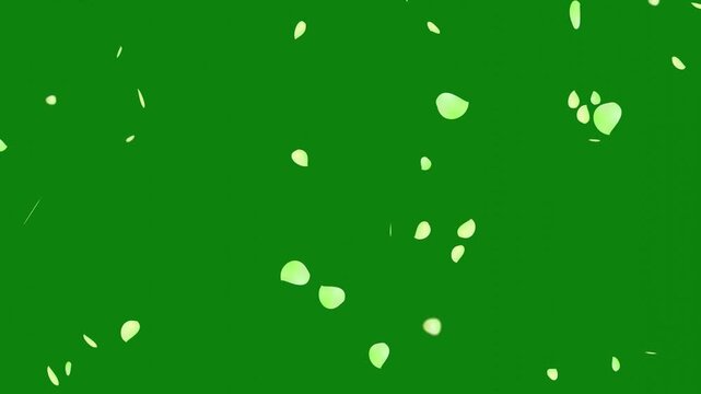 Falling petals animation on green background.