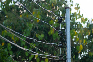 electricity post in the garden, close up of electric wires.