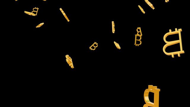 Falling gold bitcoin on solid background for alpha transparent. rain of gold currency coins 4k stock video.