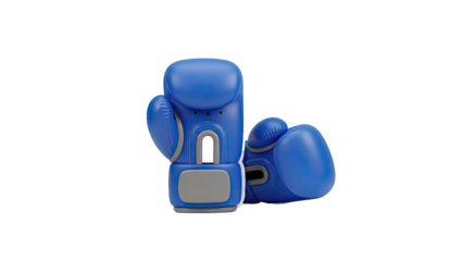 Blue Boxing Gloves