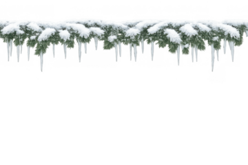 Snowy pine branches with icicles border overlay, a winter frost and christmas garland element on transparent background