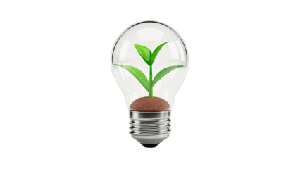 Lightbulb with Plant Growing Inside