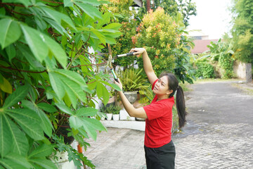 Woman Pruning Large Garden Plant with Shears